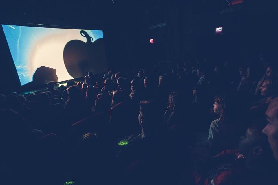 театр теней в Румынии, Театр тіней в Румунії, shadow theatre Verba in Romania